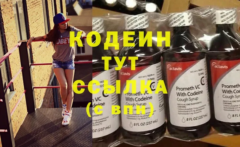 Кодеин Purple Drank  закладка  Никольск 